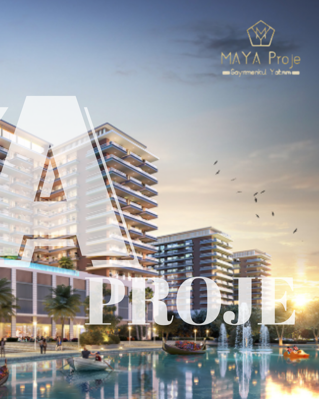 Maya 3